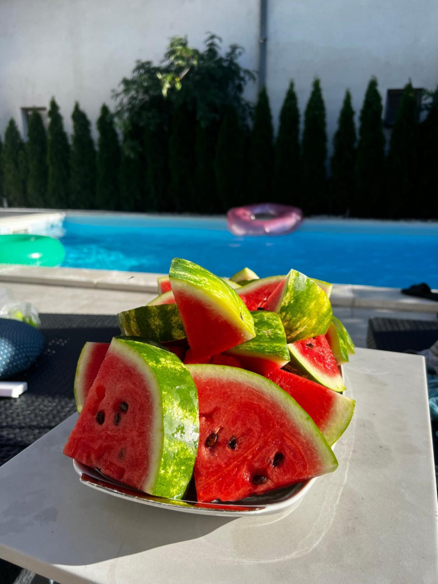Villa Mina Kladovo, 5-Bedroom Villa With Pool For Up To 12 People Екстериор снимка